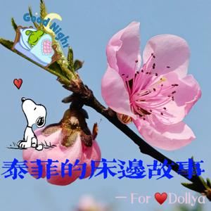 泰菲的床边故事