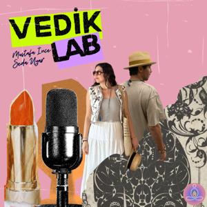 Vediklab