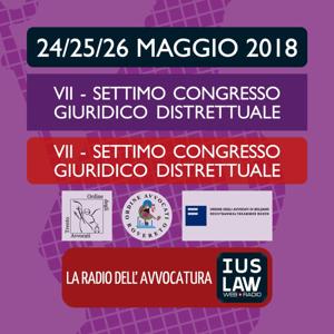 SETTIMO CONGRESSO GIURIDICO DISTRETTUALE