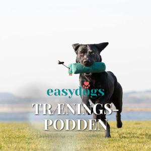 Easydogs træningspodden