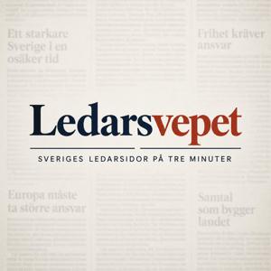 Ledarsvepet