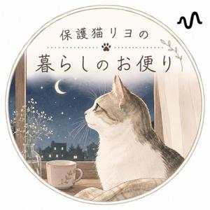 保護猫の暮らしのお便り