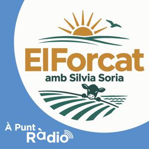 El forcat