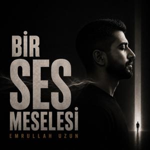 Bir Ses Meselesi