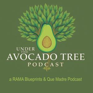 Under The Avocado Tree