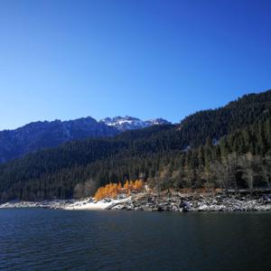 Roam Free Podcast