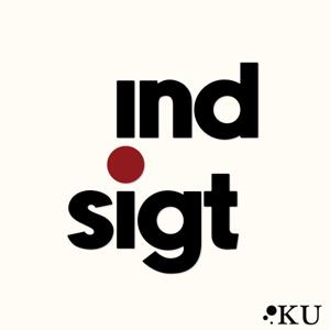 Indsigt