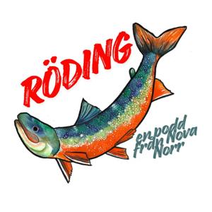 Röding