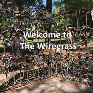 Welcome To the Wiregrass