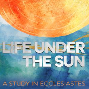 Life Under the Sun