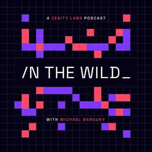 In the Wild with Michael Bargury