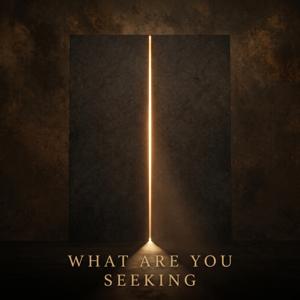 What Are You Seeking