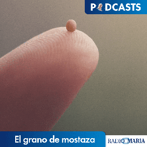 El grano de mostaza