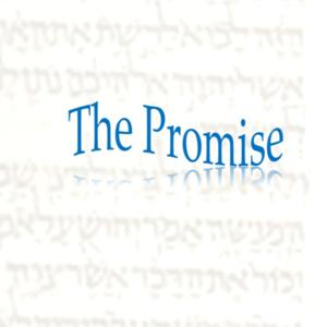 The Promise