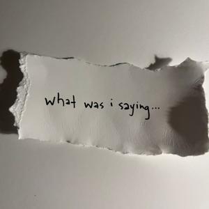 What Was I Saying... (about)