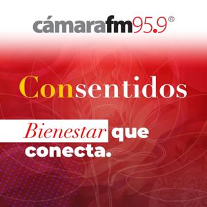 Cámara FM Podcast - Consentidos