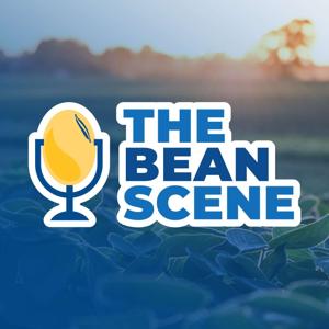 The Bean Scene