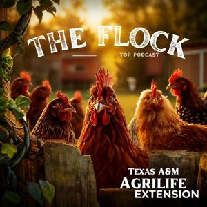 The Flock
