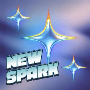 The NewSpark Guide