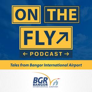 On the Fly