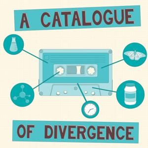 A Catalogue of Divergence