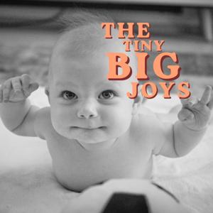 The Tiny Big Joys