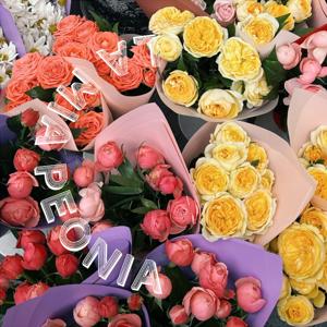 La Mia Peonia Floral Business Podcast