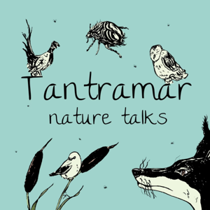 Tantramar Nature Talks