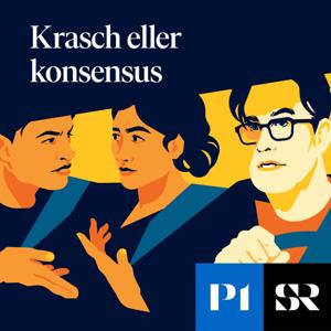 Krasch eller konsensus