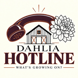 Dahlia Hotline
