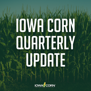 Iowa Corn Quarterly Update