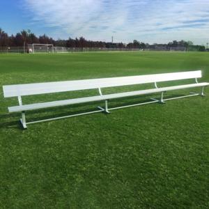 The Professional Benchwarmers