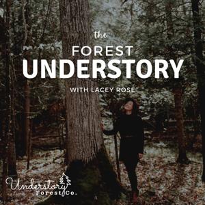 The Forest Understory