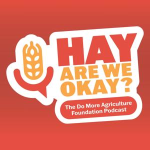 Hay Are We Okay?