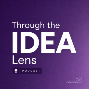Through the IDEA Lens