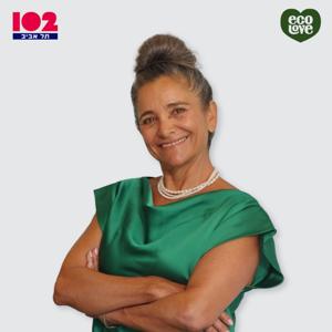 אפקט הסביבה