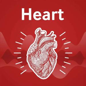 The Heart