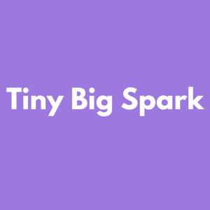 Tiny Big Spark: The Engineering Leadership Podcast
