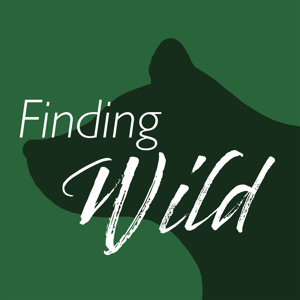 Finding Wild