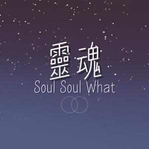 靈魂SoulSoulWhat