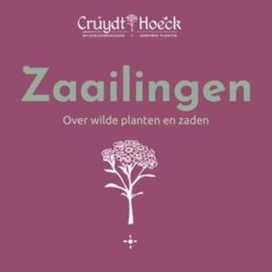 Zaailingen