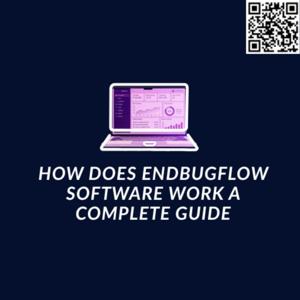 How Does EndBugFlow Software Work?