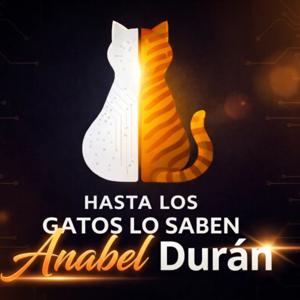 Hasta los gatos lo saben