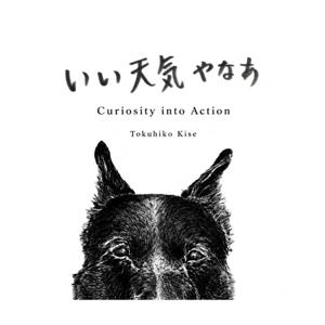 いい天気やなぁ