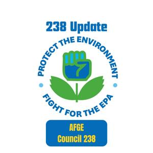 The 238 Update