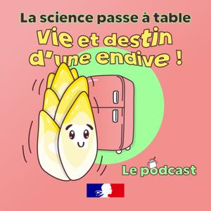 La science passe à table : vie et destin d'une endive !