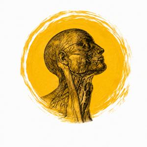 The Anatomists