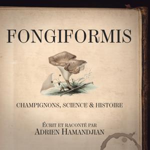 Fongiformis