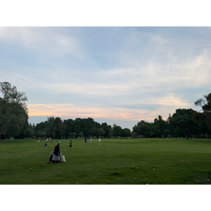 Thoughts on Second Gender and how we grow