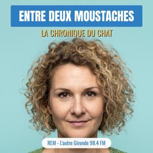 Entre Deux Moustaches